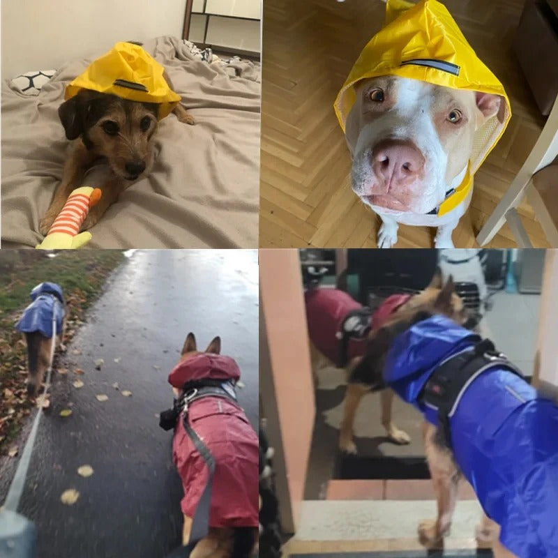 Huisdierenregenjas voor honden en katten