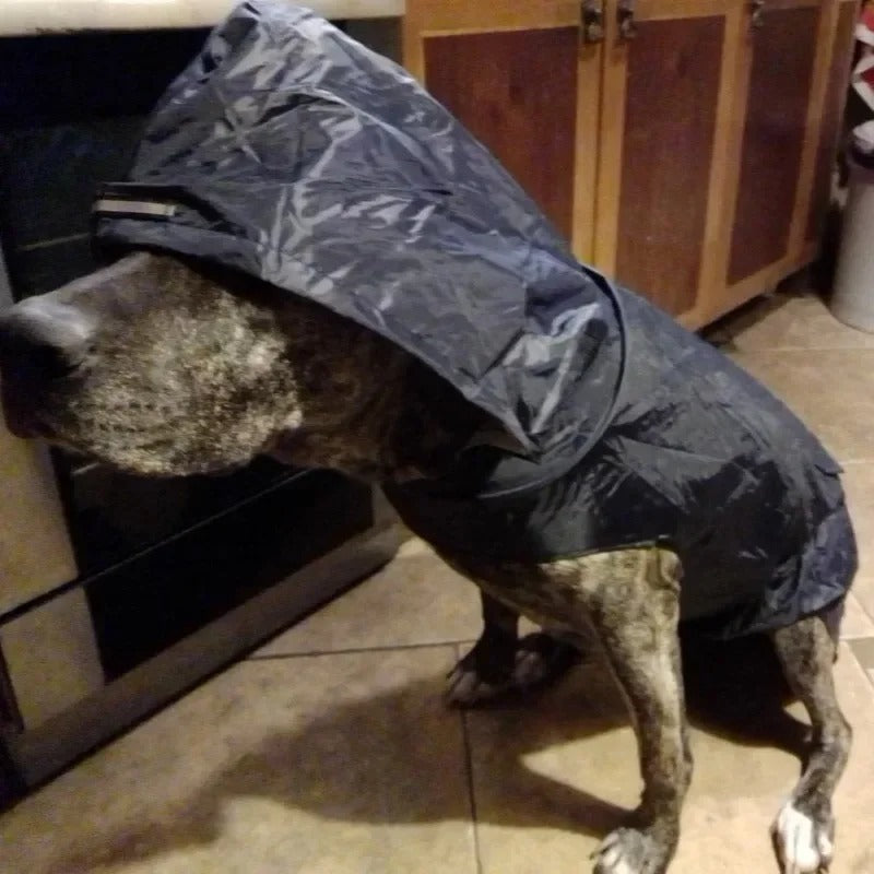 Huisdierenregenjas voor honden en katten