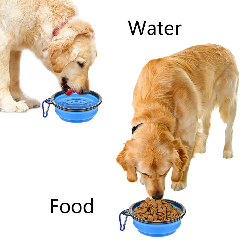 Golden retriever using a Collapsible Pet Bowl for food and water, showcasing its versatility and convenience.
