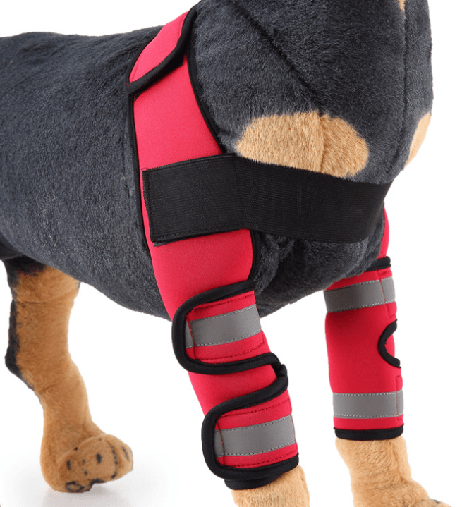 Dog knee brace for injury recovery in red neoprene, featuring durable support for post-surgery recovery.