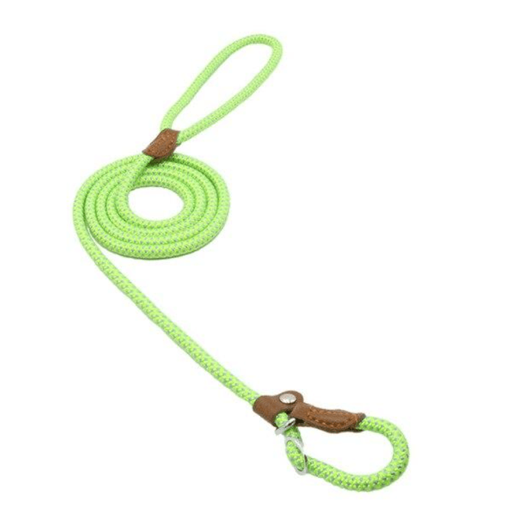 Nylon Pup Set vibrant green leash made of sturdy nylon with a comfortable grip for adventurous walks.