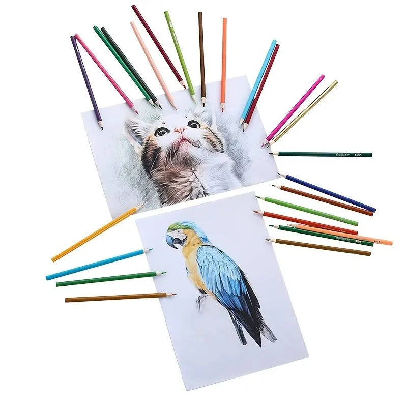 Brutfuner 80 Colors Oily Color Lead Graffiti Pencils surrounding detailed drawings of a cat and a parrot.