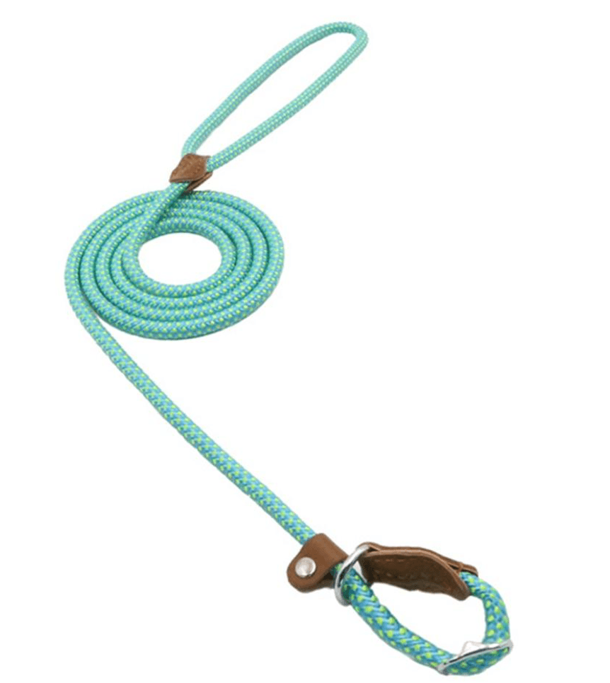 Nylon Pup Set featuring a turquoise braided leash with leather details, perfect for stylish pet walks.