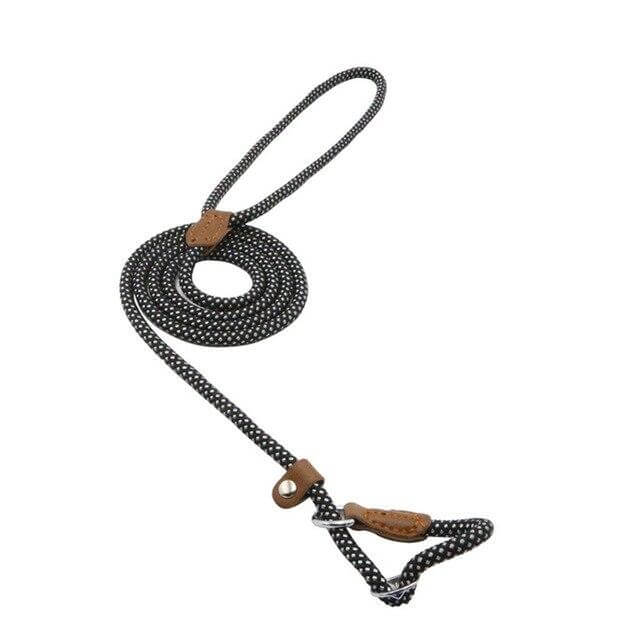 Nylon Pup Set stylish black and white dog leash with leather accent for comfort and durability during walks.