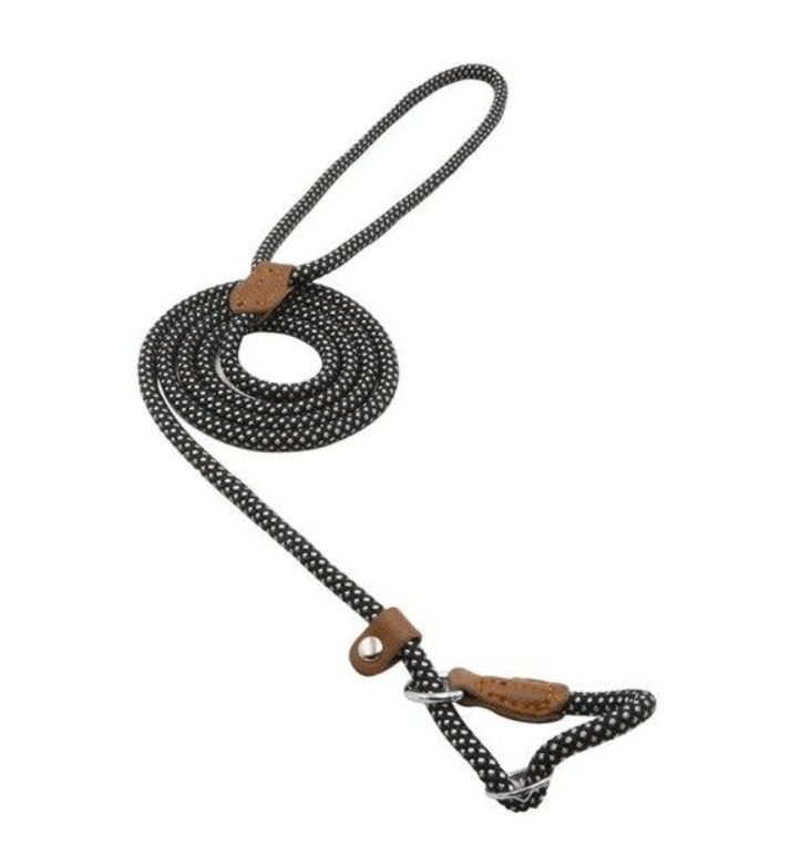 Durable Nylon Pup Set lead in black and white polka dots, designed for comfort and style during every adventure.
