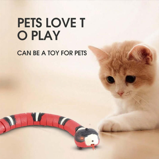 A playful cat interacting with a smart sensing snake cat toy designed for entertainment.