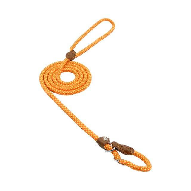 Nylon dog collar and lead in vibrant orange color, showcasing durable materials and sturdy craftsmanship for adventurous pups.