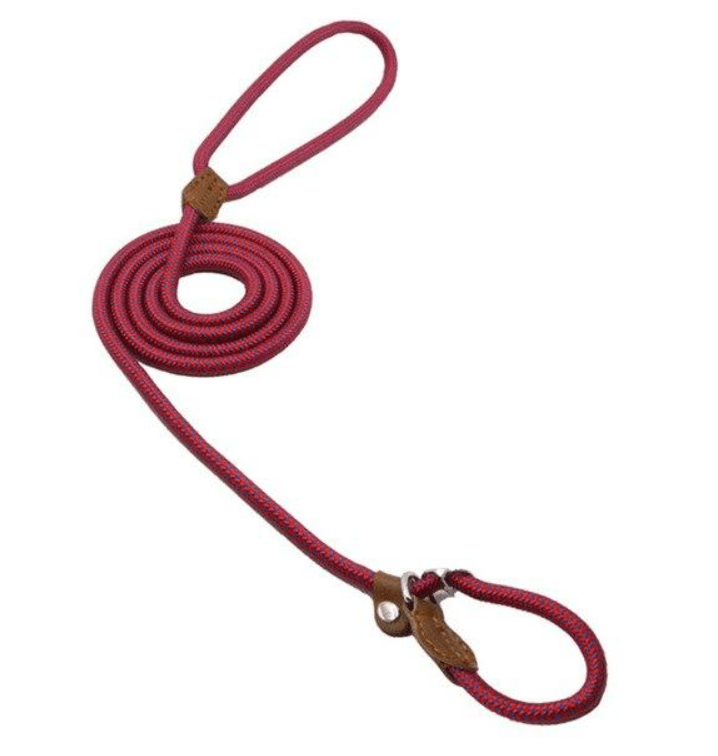 Nylon dog collar and lead in red color with durable design for comfortable walks.