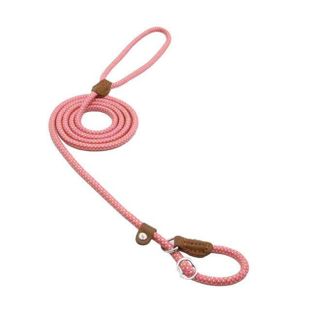 Nylon Pup Set pink leash made from durable nylon with brown leather accents for stylish dog walks.