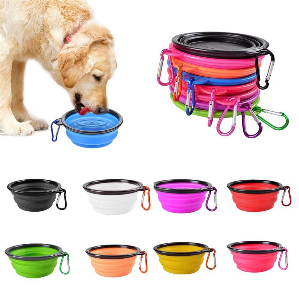 Collapsible Pet Bowl in various colors and designs, perfect for feeding pets on the go.