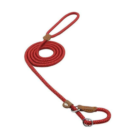 Red nylon dog collar and lead showcasing durable craftsmanship and stylish design for adventurous pets.