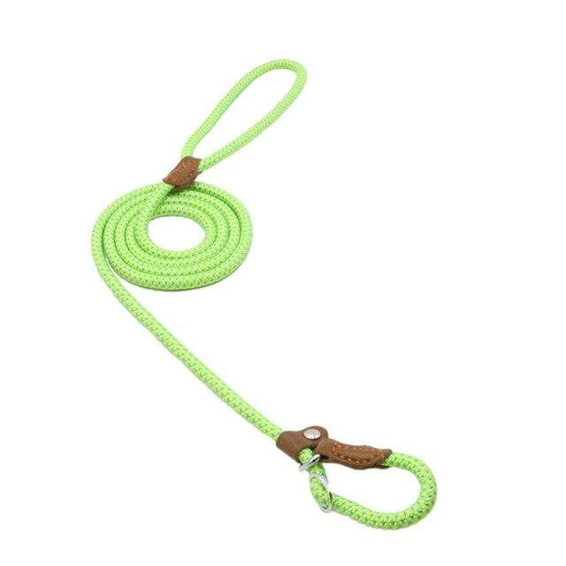 Nylon Pup Set vibrant green dog leash made from durable nylon with a comfortable grip for walks and adventures.