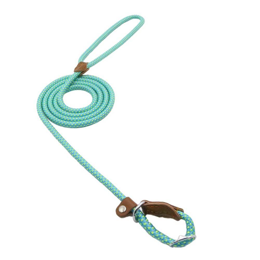 Nylon Pup Set stylish mint green dog lead with durable construction and soft handle for comfortable walks.