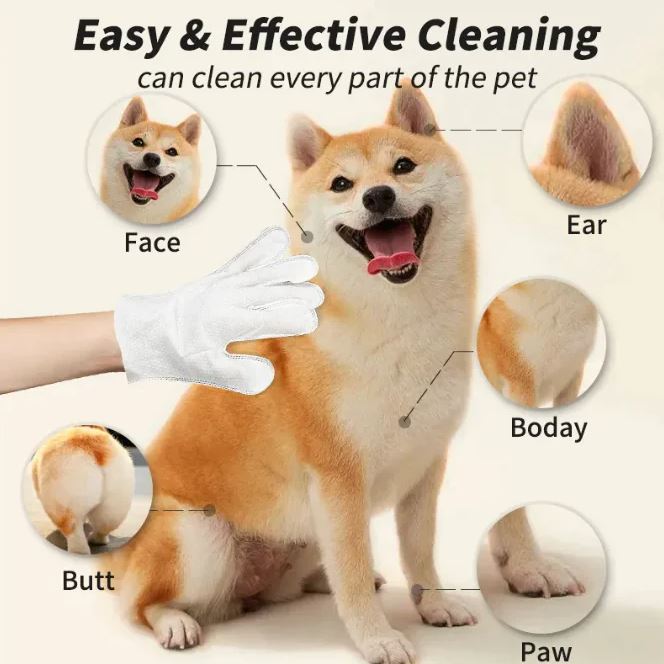 Handschoenen & Doekjes voor Dierenreiniging