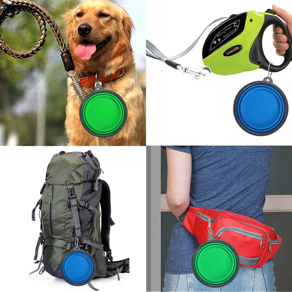 Collapsible Pet Bowl displayed with dog, leash, backpack, and waist bag showcasing its portable design.