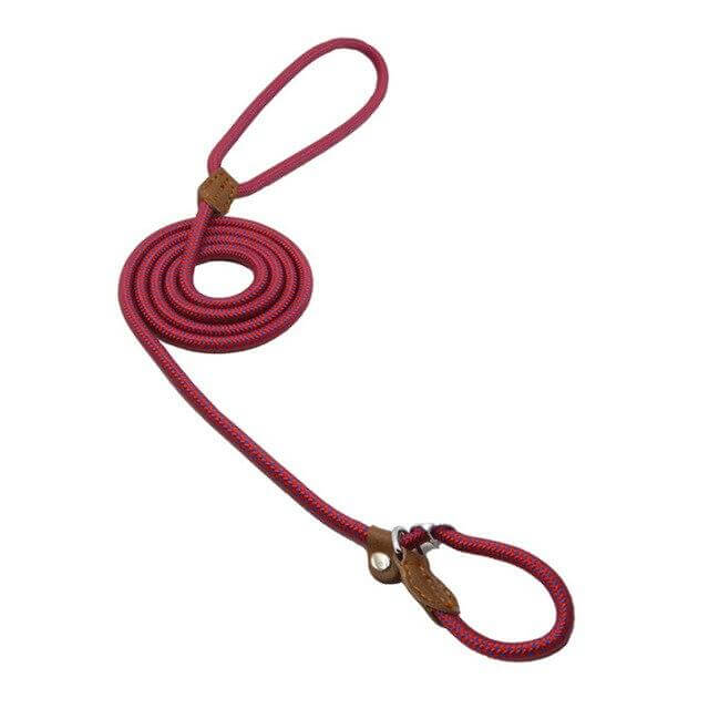 Nylon Pup Set durable red dog leash, crafted for comfort and style, perfect for adventurous outings.