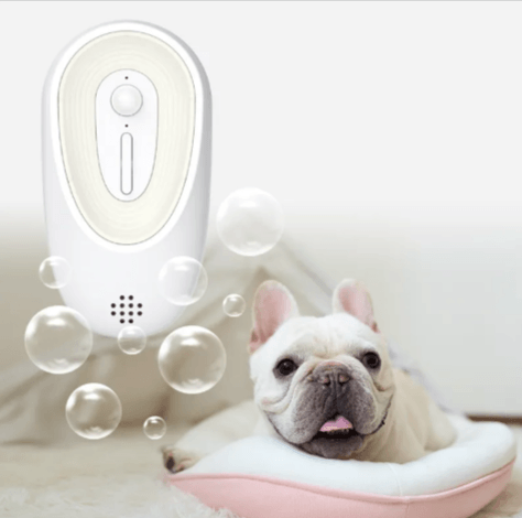 Pet Odor Eliminator for Litter Boxes displayed beside a French Bulldog in a cozy pet bed.